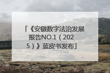 《安徽数字法治发展报告NO.1（2025）》蓝皮书发布