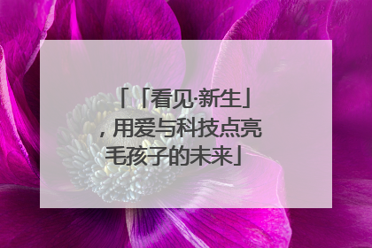 「看见·新生」，用爱与科技点亮毛孩子的未来