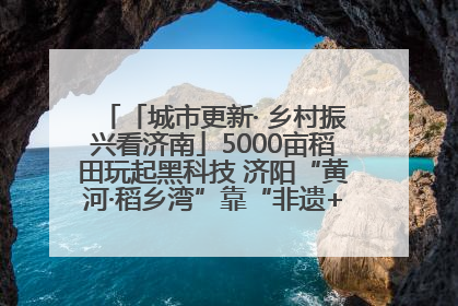 「城市更新· 乡村振兴看济南」5000亩稻田玩起黑科技 济阳“黄河·稻乡湾”靠“非遗+露营”火出圈