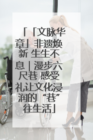 「文脉华章」非遗焕新 生生不息｜漫步六尺巷 感受礼让文化浸润的“巷”往生活