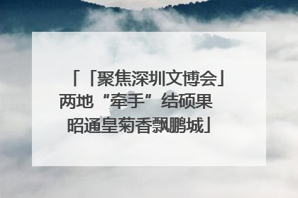 「聚焦深圳文博会」两地“牵手”结硕果 昭通皇菊香飘鹏城