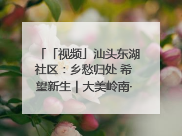 「视频」汕头东湖社区：乡愁归处 希望新生｜大美岭南·百村焕新记