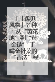 「遇见·风物」芒种：从“黄花地”到“黄金链” 丁嘴金针菜的“古法”经