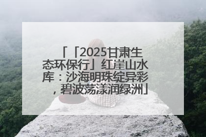 「2025甘肃生态环保行」红崖山水库：沙海明珠绽异彩，碧波荡漾润绿洲