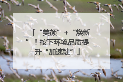 “美颜”+“焕新”！按下环境品质提升“加速键”