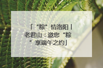 “粽”情洛阳丨老君山：邀您“粽”享端午之约