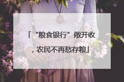 “粮食银行”敞开收，农民不再愁存粮