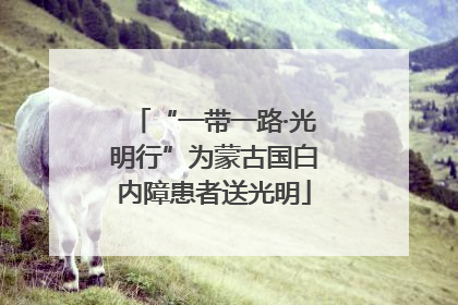 “一带一路·光明行”为蒙古国白内障患者送光明