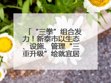 “三拳”组合发力！新泰市以生态、设施、管理“三重升级”绘就宜居新画卷