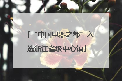 “中国电器之都”入选浙江省级中心镇