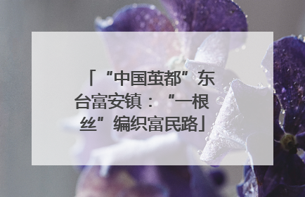“中国茧都”东台富安镇：“一根丝”编织富民路