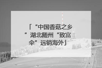 “中国香菇之乡”湖北随州“致富伞”远销海外