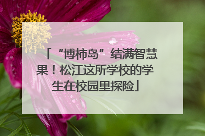 “博柿岛”结满智慧果！松江这所学校的学生在校园里探险