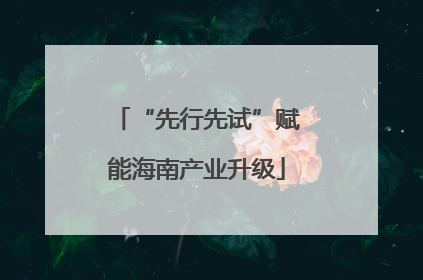 “先行先试”赋能海南产业升级