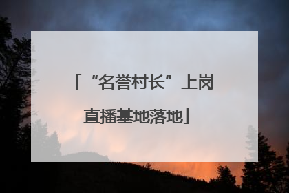 “名誉村长”上岗 直播基地落地