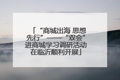“商城出海 思想先行”——“双会”进商城学习调研活动在临沂顺利开展