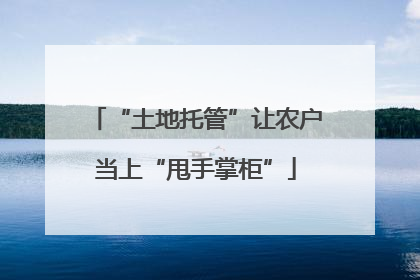 “土地托管”让农户当上“甩手掌柜”