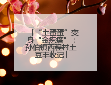 “土蛋蛋”变身“金疙瘩”：孙伯镇西程村土豆丰收记