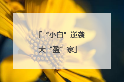 “小白”逆袭大“盈”家