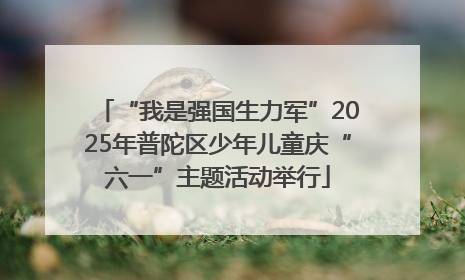 “我是强国生力军”2025年普陀区少年儿童庆“六一”主题活动举行