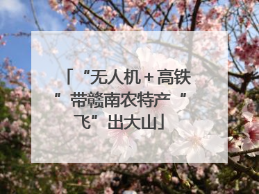 “无人机＋高铁”带赣南农特产“飞”出大山