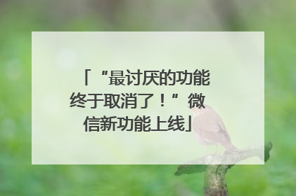 “最讨厌的功能终于取消了！”微信新功能上线