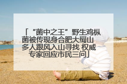 “菌中之王”野生鸡枞菌被传现身合肥大蜀山 多人跟风入山寻找 权威专家回应市民三问