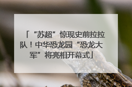 “苏超”惊现史前拉拉队！中华恐龙园“恐龙大军”将亮相开幕式