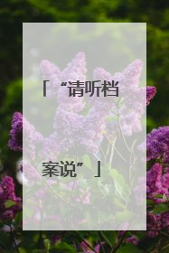 “请听档案说”