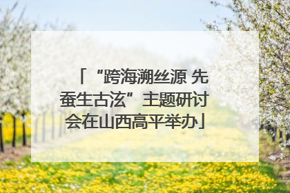 “跨海溯丝源 先蚕生古泫”主题研讨会在山西高平举办