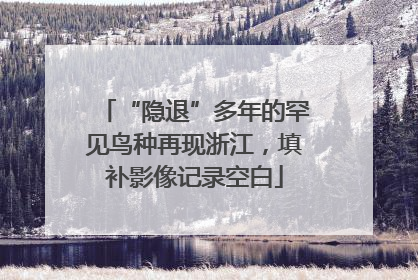 “隐退”多年的罕见鸟种再现浙江，填补影像记录空白