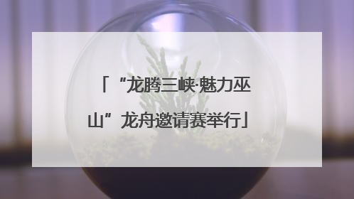 “龙腾三峡·魅力巫山”龙舟邀请赛举行