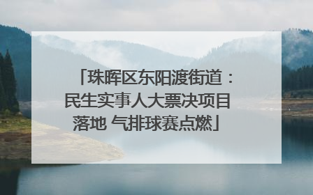 珠晖区东阳渡街道：民生实事人大票决项目落地 气排球赛点燃