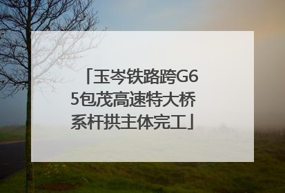 玉岑铁路跨G65包茂高速特大桥系杆拱主体完工