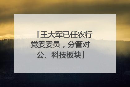 王大军已任农行党委委员，分管对公、科技板块