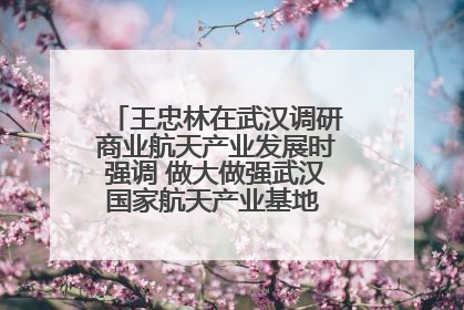 王忠林在武汉调研商业航天产业发展时强调 做大做强武汉国家航天产业基地 打造具有全国影响力的“中国星谷”
