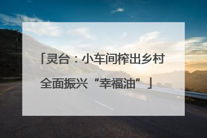 灵台：小车间榨出乡村全面振兴“幸福油”