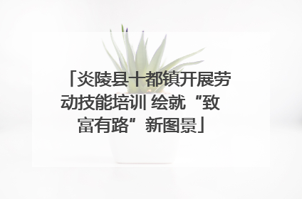 炎陵县十都镇开展劳动技能培训 绘就“致富有路”新图景
