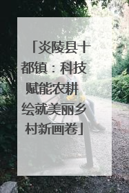 炎陵县十都镇：科技赋能农耕 绘就美丽乡村新画卷