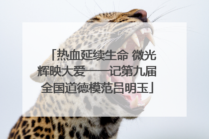 热血延续生命 微光辉映大爱一一记第九届全国道德模范吕明玉