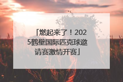 燃起来了！2025鹤壁国际匹克球邀请赛激情开赛