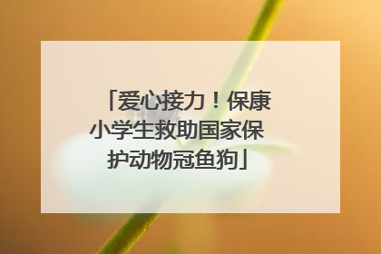 爱心接力！保康小学生救助国家保护动物冠鱼狗