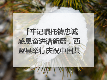 牢记嘱托铸忠诚 感恩奋进谱新篇，西盟县举行庆祝中国共产党成立104周年文艺晚会
