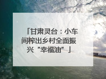 甘肃灵台：小车间榨出乡村全面振兴“幸福油”