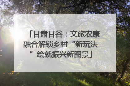 甘肃甘谷：文旅农康融合解锁乡村“新玩法”绘就振兴新图景