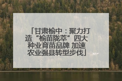 甘肃榆中：聚力打造“榆苗陇萃”四大种业育苗品牌 加速农业强县转型步伐