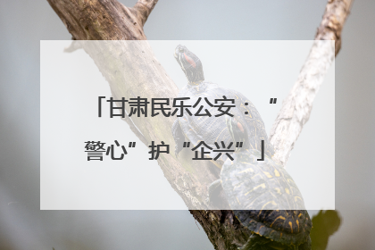 甘肃民乐公安：“警心”护“企兴”