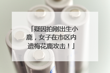 疑因拍刚出生小鹿，女子在市区内遭梅花鹿攻击！