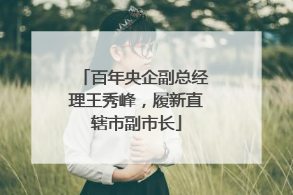 百年央企副总经理王秀峰，履新直辖市副市长