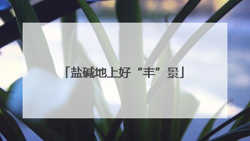 盐碱地上好“丰”景